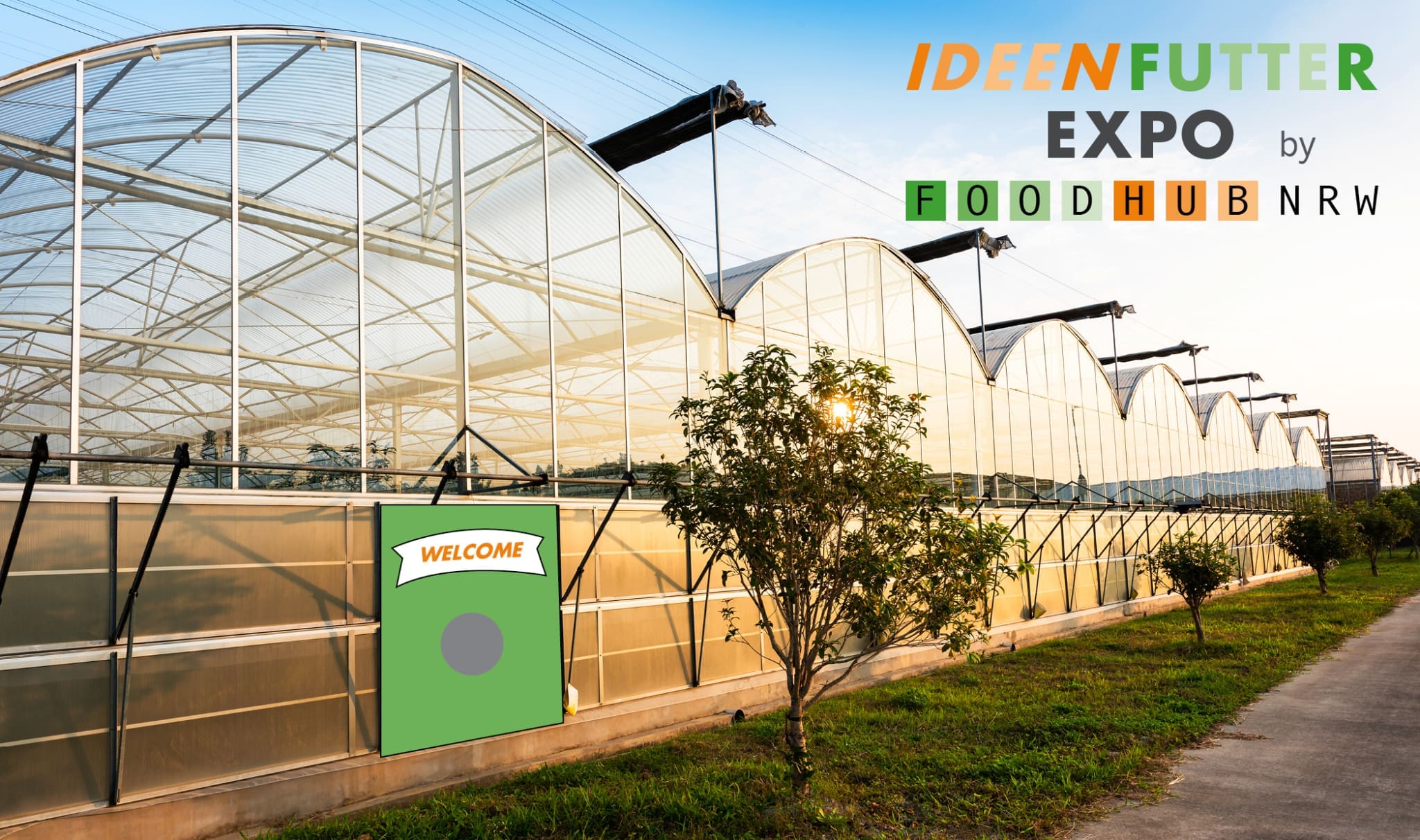 теплицы в турции