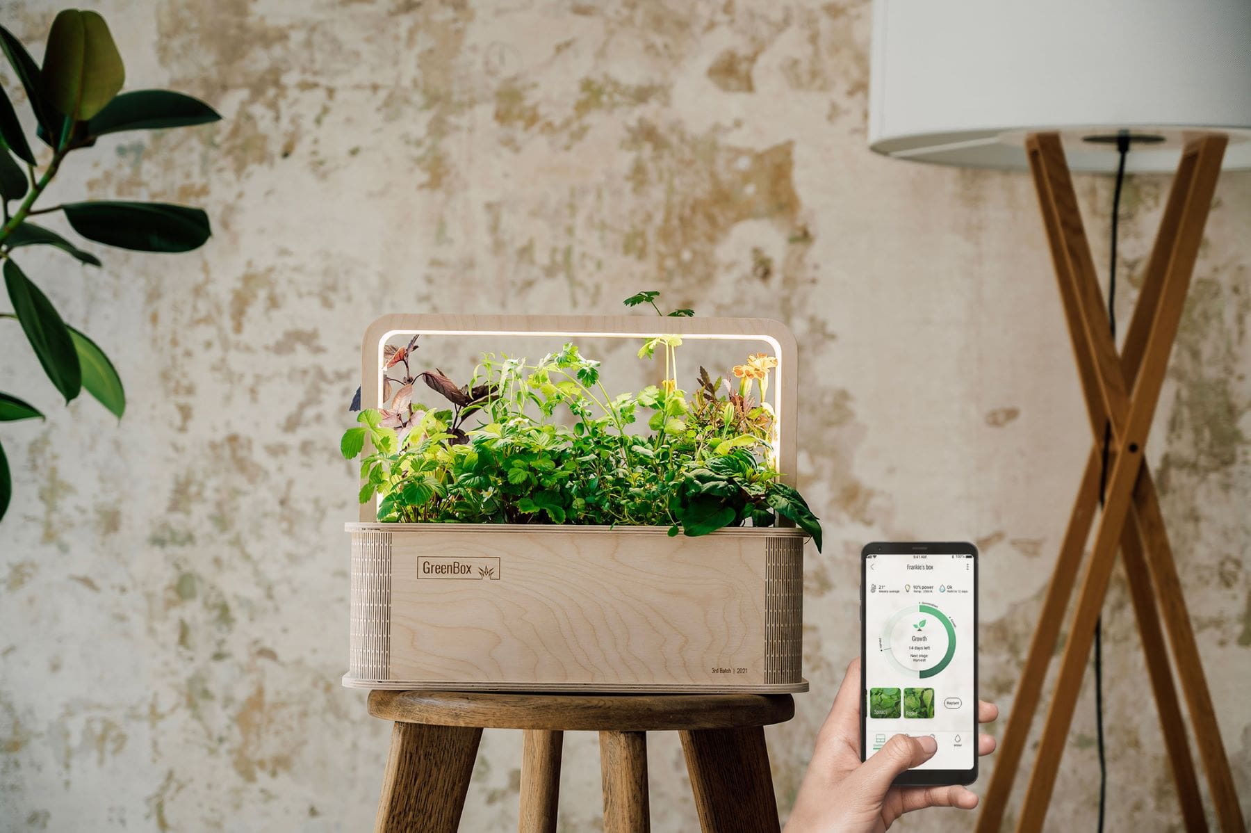 Die Pflanzen in der GreenBox können einfach per App überwacht werden.