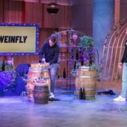 Weinfly-3
