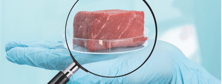 Kultivietes Fleisch