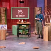 Die Höhle der Löwen